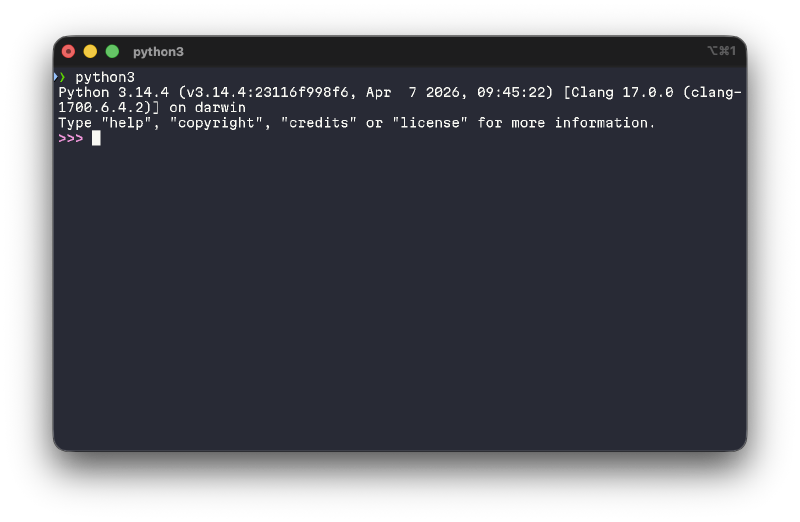 Terminal Python